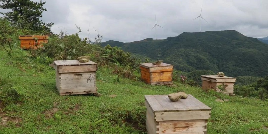 麻江县“四个着力”全面推动“黔货出山”