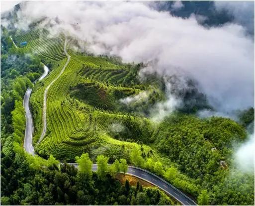 好时节放飞心情,快来贵州黔南州“村”游