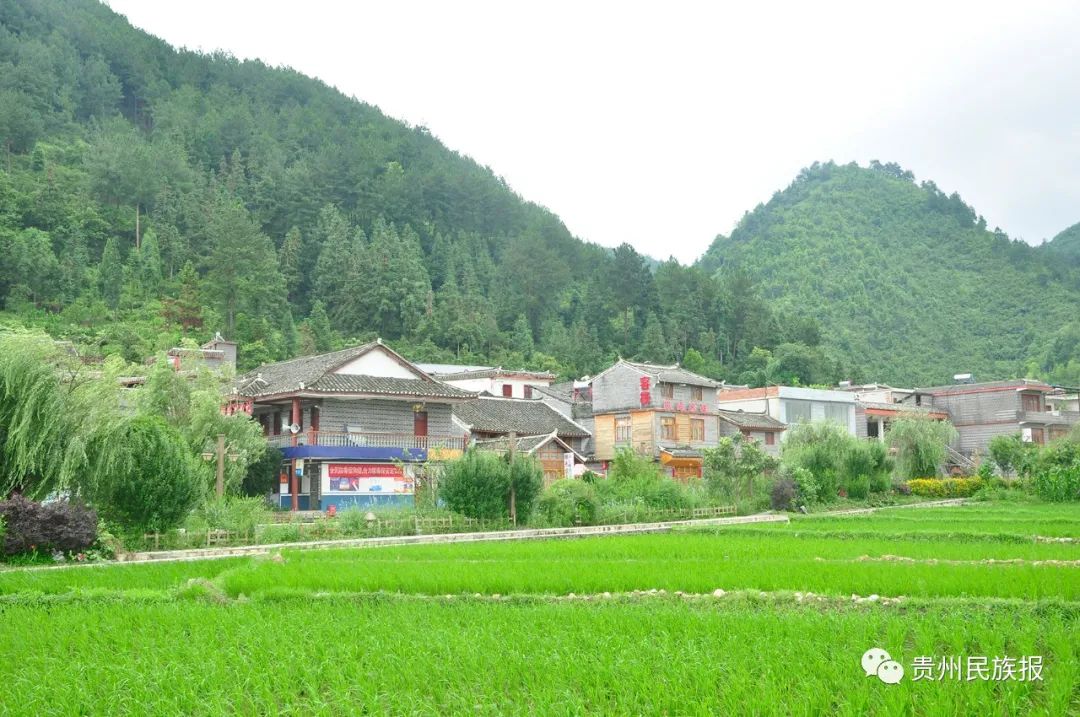好时节放飞心情,快来贵州黔南州“村”游