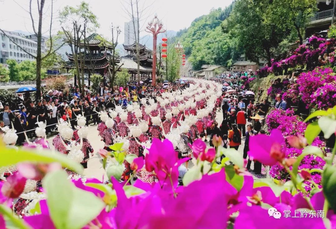 姊妹节来了!今年有这些精彩内容→