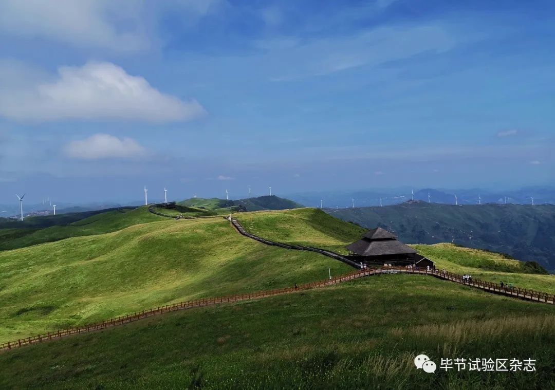 毕节韭菜坪盛花期来了,旅游攻略在此