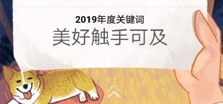 �����¶�����@�����ˣ�2019��ȹؼ���������