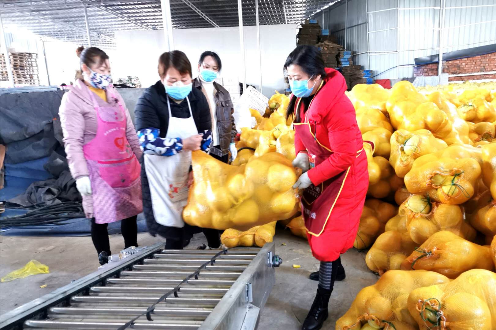 ��ȤС��Ƶ��Ԯ�人 ����ս���ܹ�