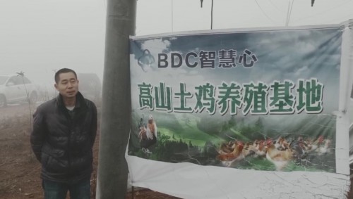 BDC�ǻ��ģ�������ƶ����ů����