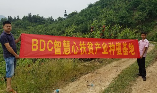 BDC�ǻ��ģ�������ƶ����ů����