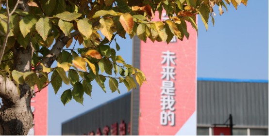 ���ͺ�����ͨ�������ѧ���뼼�ܵ�˫����ȥ����ְ����