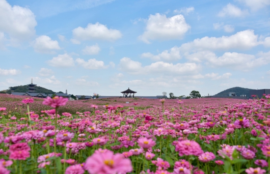 ��ʮ�߽�����̫��ɽˮ�Ļ����ν�����ɽ�黨�廨����÷�ڿ�Ļ