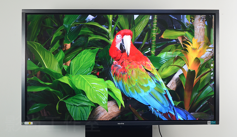 ���տ�����newline ��ϵ�� 65" ����ƽ��