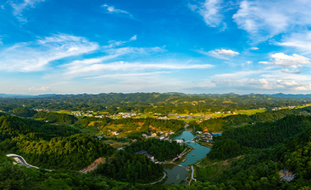 周末，去遵义这个地方采茶