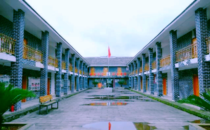 周末，去遵义这个地方采茶
